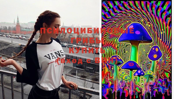 герыч Горняк