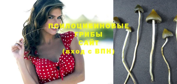 герыч Горняк