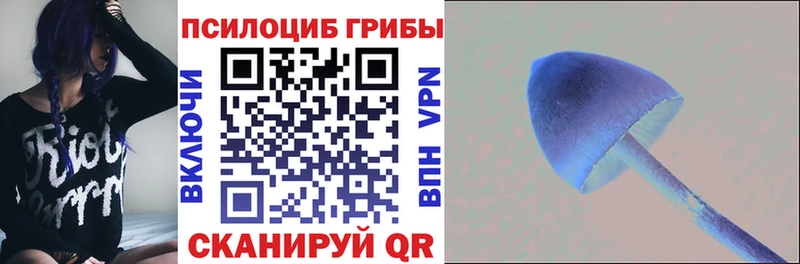 Купить  Лосино-Петровский  Галлюциногенные грибы GOLDEN TEACHER 